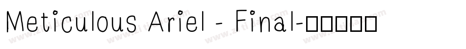 Meticulous Ariel - Final字体转换